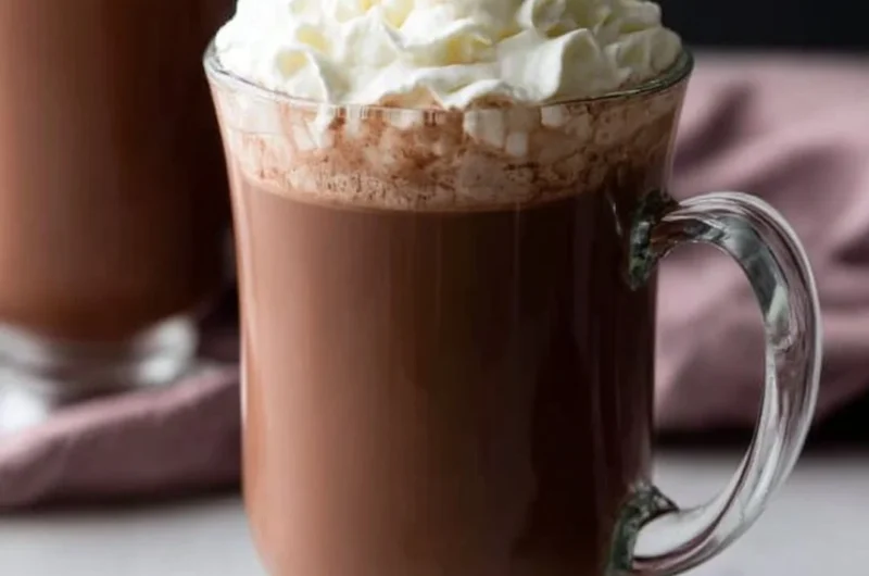 A rich cup of homemade hot chocolate topped with whipped cream and chocolate shavings