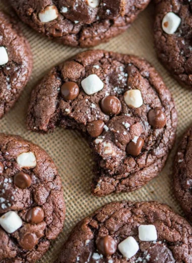Delicious hot chocolate cookies with melty chocolate chips