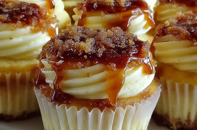 Delicious Vanilla Bean Crème Brûlée Cheesecake Cupcakes topped with caramelized sugar