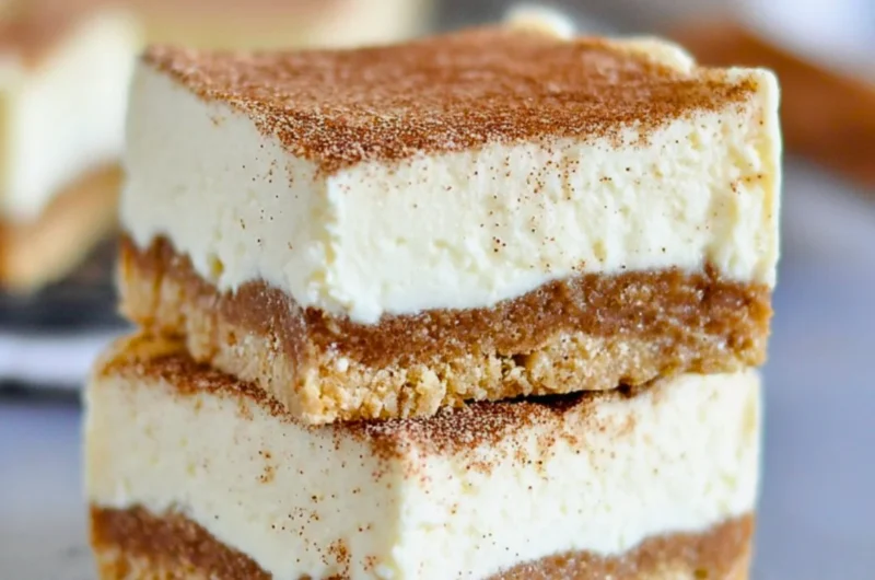 No Bake Keto Churro Cheesecake Bars with a cinnamon topping