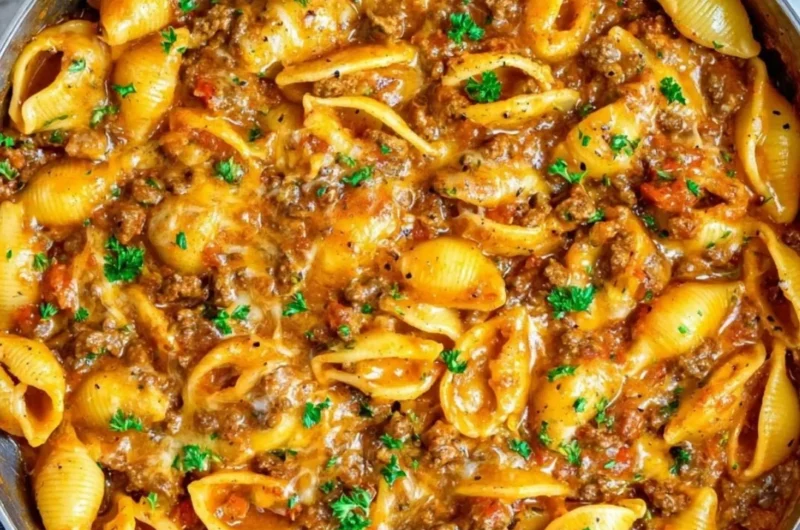 Creamy beef shells dish with pasta and creamy sauce