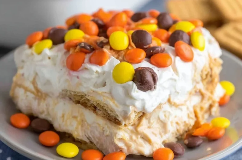 No Bake Peanut Butter Icebox Cake topped with chocolate and peanuts