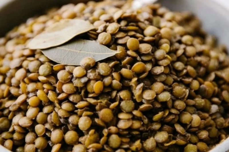 Bowl of perfectly cooked lentils with herbs and spices for a healthy meal