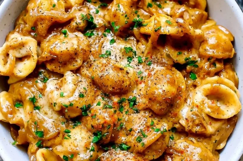 Creamy French onion pasta served in a cozy bowl with melted cheese on top.