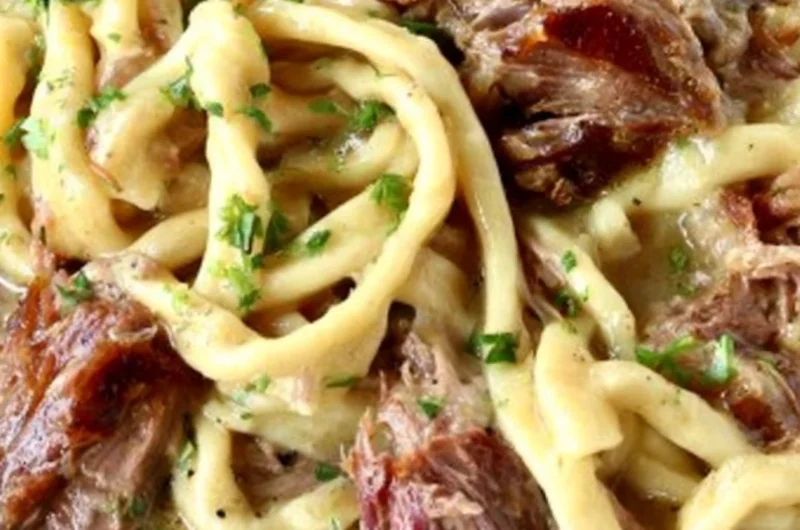 Cozy slow cooker beef noodles served in a bowl